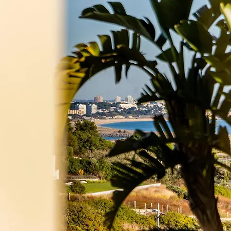 Quinta De Sao Roque 2 Bed - Mf9b דירה *